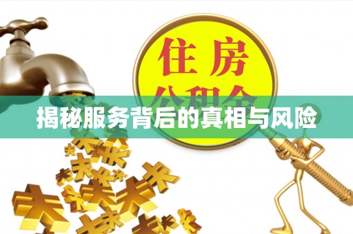 东安揭秘服务背后的真相与风险