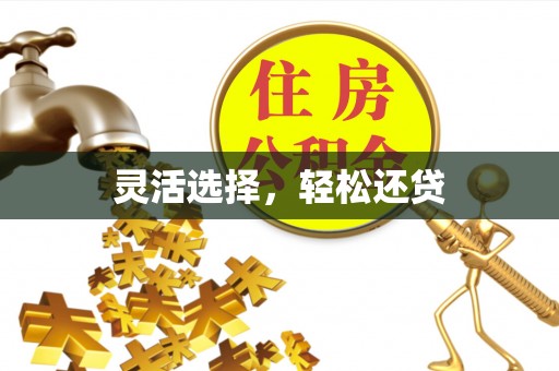 东安灵活选择，轻松还贷