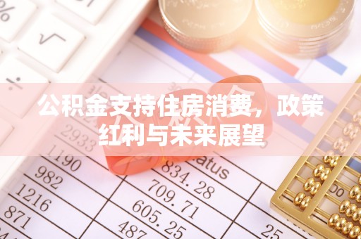 东安公积金支持住房消费，政策红利与未来展望