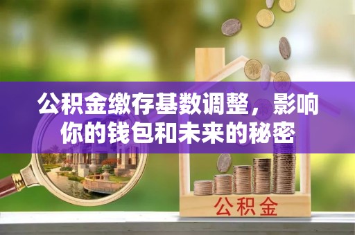 东安公积金缴存基数调整，影响你的钱包和未来的秘密