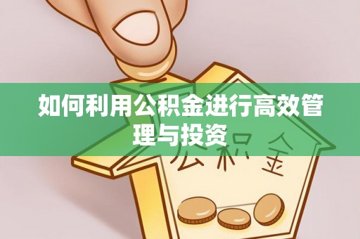 东安如何利用公积金进行高效管理与投资