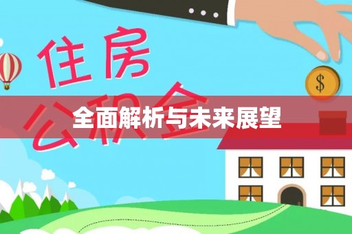 东安全面解析与未来展望