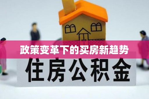 东安政策变革下的买房新趋势