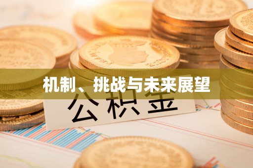 东安机制、挑战与未来展望